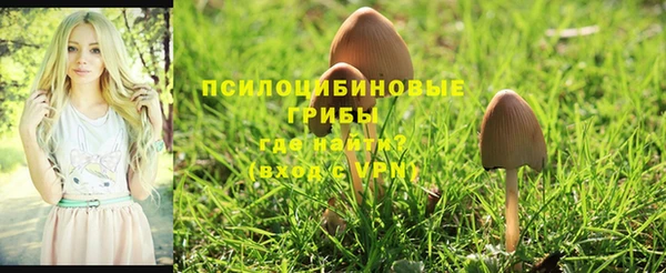 jwh Липки