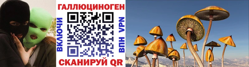 Псилоцибиновые грибы мухоморы  Новозыбков 