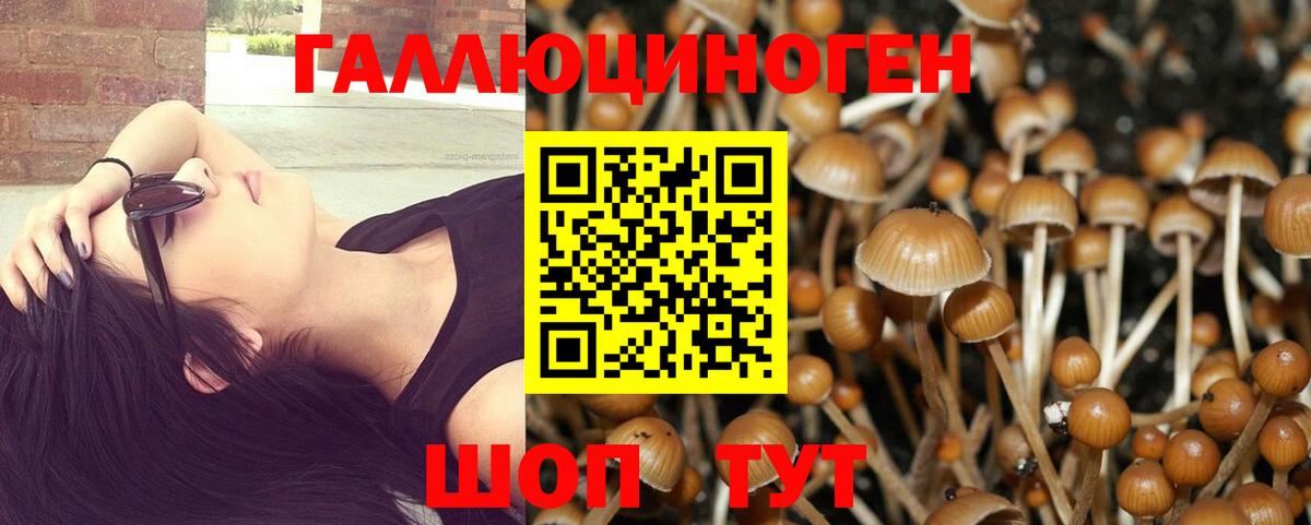 ГАШИШ  Новозыбков  NBOMe  МДМА  Мефедрон кристаллы  МЕФ  Марихуана  Вход с VPN 