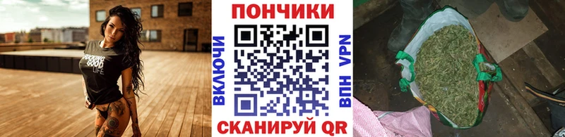 Каннабис White Widow площадка официальный сайт Новозыбков